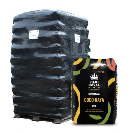 JJG202209P - JUJU ROYAL VON BIOBIZZ - COCO KAYA | PALETTE 65 50L SÄCKE