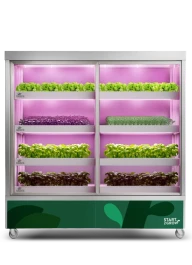 AGR.999.001.002 - START2GROW - VERTIKALES HYDROPONISCHES SYSTEM AUF RÄDERN