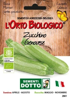 11112861 - ZUCCHINO GENOVESE ORTO BIOLOGICO DOTTO SEMENTI