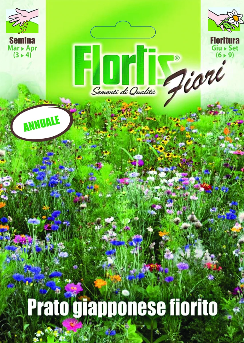 4351163 - FLORTIS | JAPANISCHE BLUMENWIESE