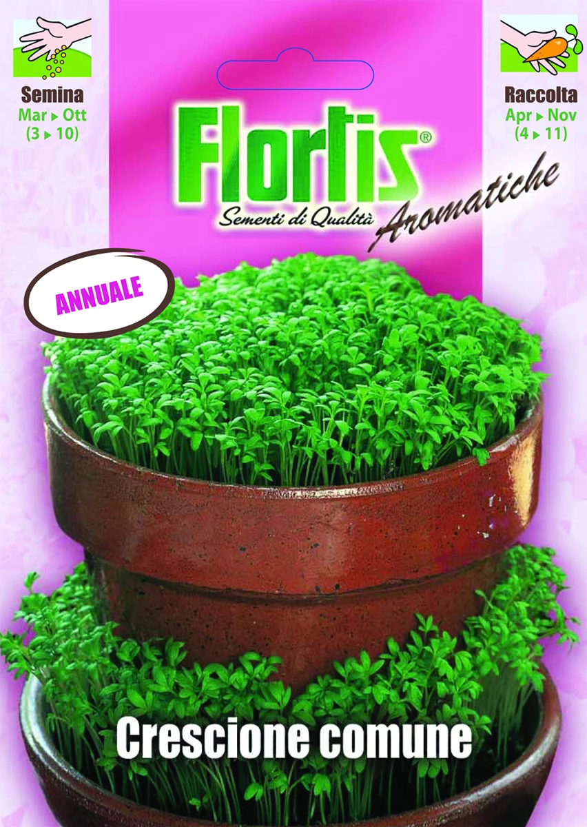 4357005 - FLORTIS | CRESCIONE COMUNE