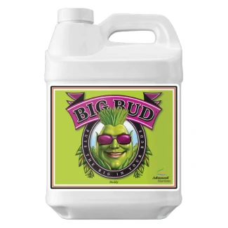 5050-12 - ADVANCED NUTRIENTS - BIG BUD | 250ml