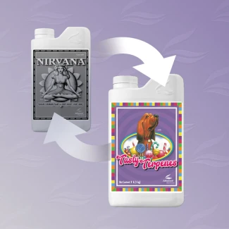 3550-13 - ADVANCED NUTRIENTS - TASTY TERPENE (EX-NIRVANA) | 500ml