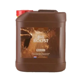 CBB5 - BIOCANNA - BIO BOOST | 5L