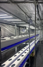 VF443508 - INDOORLINE - VERTICAL FARM 60 BASIC | 330x60x200h cm