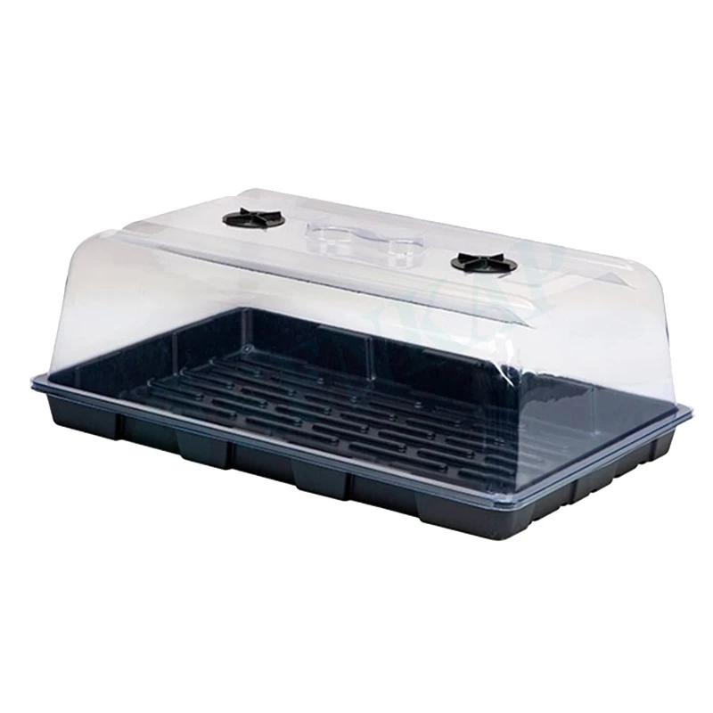 63251 - MINISERRA | 56x36x22h cm