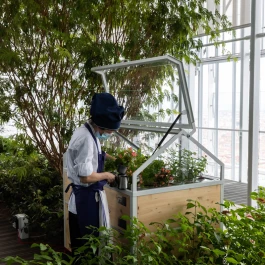 EXPOMNH - AGRICOOLTUR - MINIHORTUS | CULTIVATION AND DISPLAY MODULE