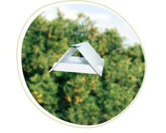 71828004PB - ADHESIVE REFILLS FOR UNIVERSAL PHEROMONE TRAPS