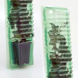 P13378 - BLISTER FOR TRANSPORT AND SHIPMENT OF CUTTINGS 1 POT 7X7X8CM H 33CM STEM HOLE 4CM