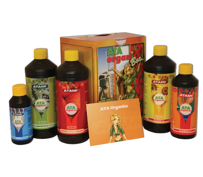 AOBA - ATA ORGANICS BOX ATAMI B'CUZZ