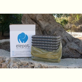 ELEPOT - ROOTING CUBES