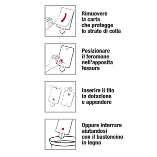 FLORTIS - BOSSO PYRALID TRAP WITH PHEROMON