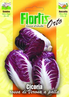 4355140 - FLORTIS | CICORIA ROSSA VERONA A PALLA