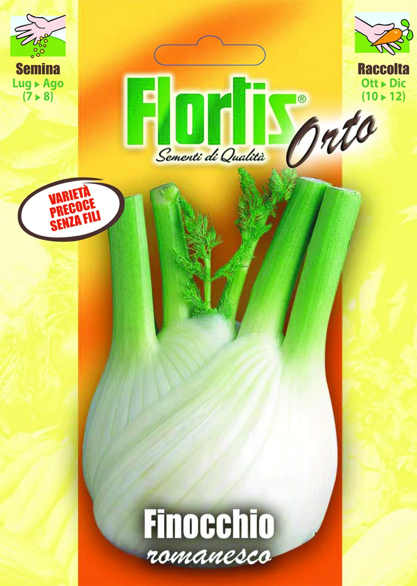4355178 - FLORTIS | FINOCCHIO ROMANESCO