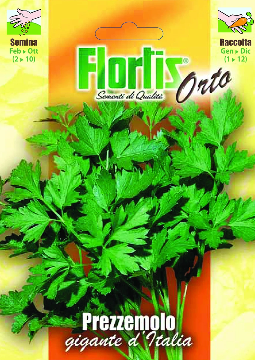 4355300 - FLORTIS | PREZZEMOLO GIGANTE D'ITALIA