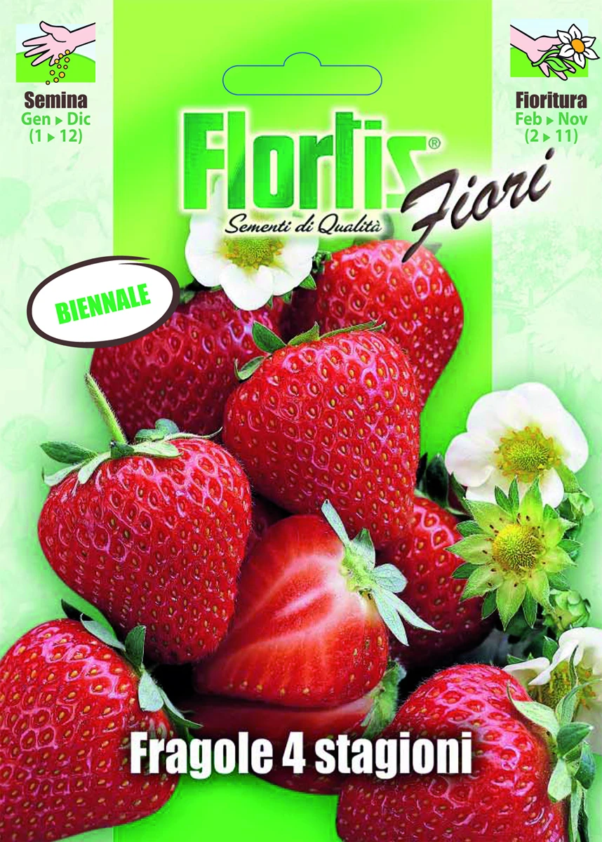 4351350 - FLORTIS | FRAGOLA 4 STAGIONI