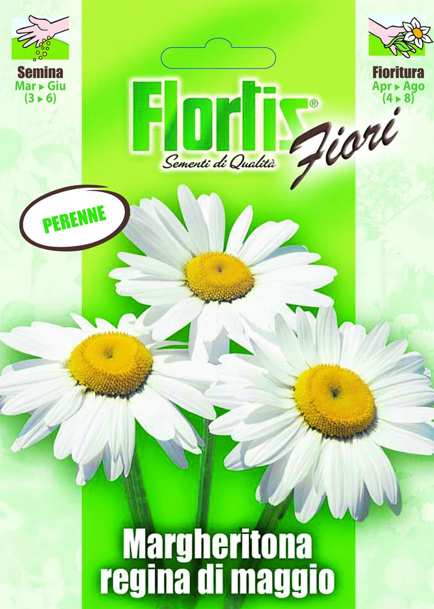 4351115 - FLORTIS | MARGHERITONA REGINA DI MAGGIO