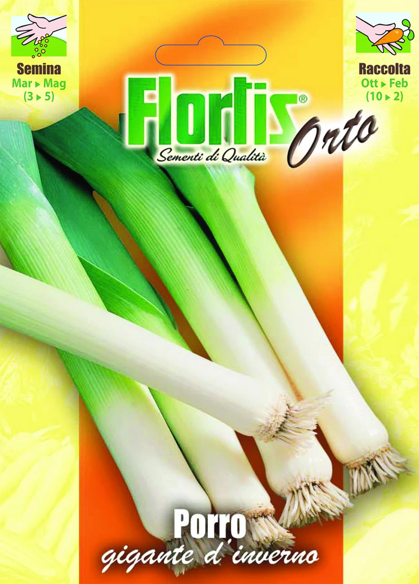 4355290 - FLORTIS | PORRO GIGANTE D'INVERNO