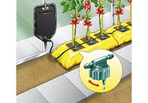 RGBI - SAC D'IRRIGATION 6 PLANTES