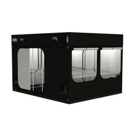 INT300R30 - SECRET JARDIN - INTENSE 300 R3.0 | 300x360x242h cm