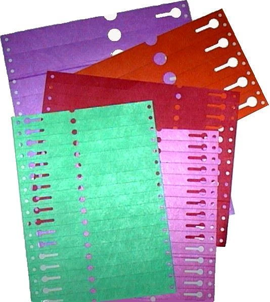 ETIP - ÉTIQUETTES AVEC EMPLACEMENTS POUR TITRE DE PLANTE 10 PZ 16x133MM