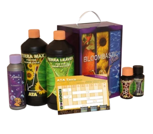 ATSK - ATA TERRA BLOOMBASTIC BOX ATAMI B'CUZZ