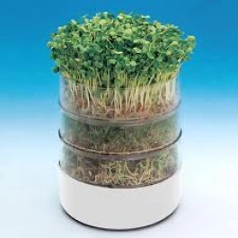 BIOS - GERMINATEUR DE GRAINES BIOSET