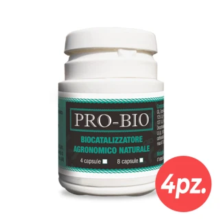 BMPRO4 - BIOMAGNO - PRO-BIO PROBIOTIQUE NATUREL BIOCATALYSEUR | 4 GÉLULES