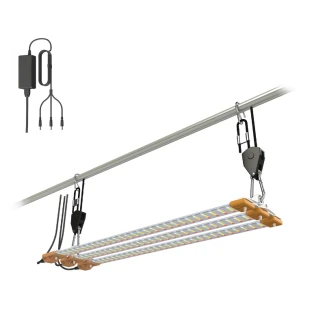 COM60K - SECRET JARDIN - KIT COSMORROW BLOOM | 60L 50cm