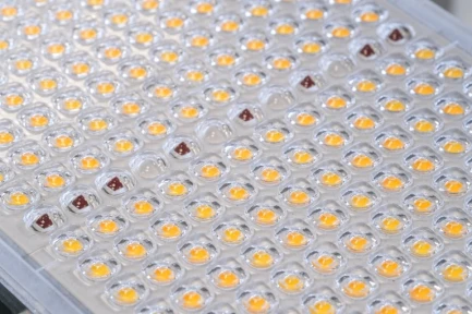 evo-c-compact-led-plate-indoorline