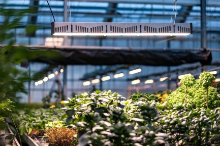 SANLIGHT - EVO 2C COMPACT 220V | 310W | PER UTILIZZO IN SERRA