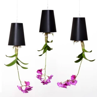 SKYPLANTER MEDIUM NERO