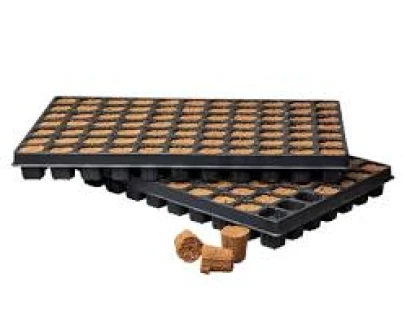 CRP77-Root-plug-77-canna