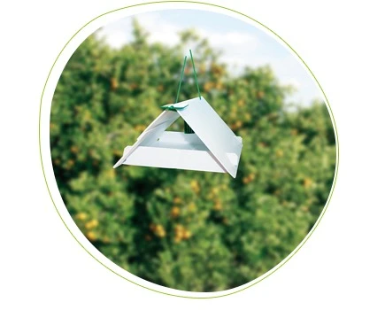 71828002PB - TRAPPOLA UNIVERSALE PER OSPITARE FEROMONI