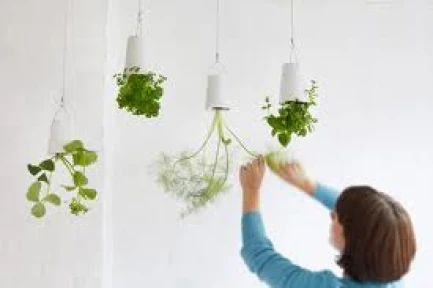 SKYPL - SKYPLANTER LARGE BIANCO BOSKKE