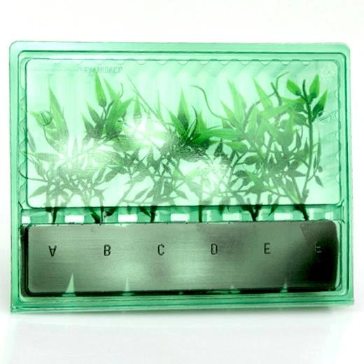 434010 - BLISTER PER TRASPORTO E SPEDIZIONE DI 6 TALEE DIAMETRO 3,8CM x 5CM H 14CM  FORO STELO 2CM