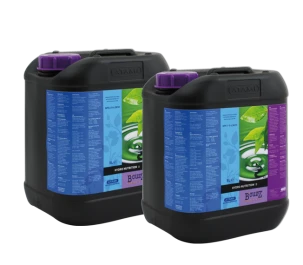 BHAB5 - HYDRO A+B 2X5L ATAMI B'CUZZ