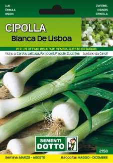 Cipolla Blanca De Lisboa