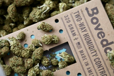 BOVEDA 58% - MANTENIMENTO UMIDITA' COSTANTE | 320gr. IMBUSTATO SINGOLARMENTE Indoorline