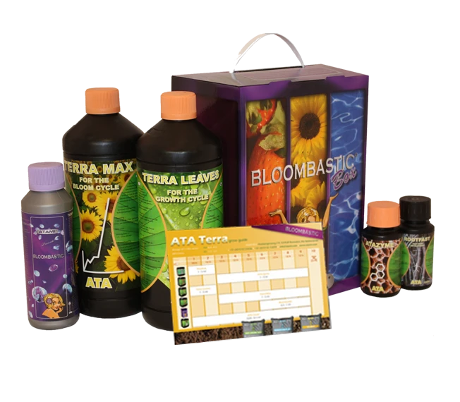 ATSK - ATA TERRA  BLOOMBASTIC BOX ATAMI B'CUZZ