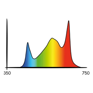 SECRET JARDIN - TLED BLOOM | 42W 3000°k