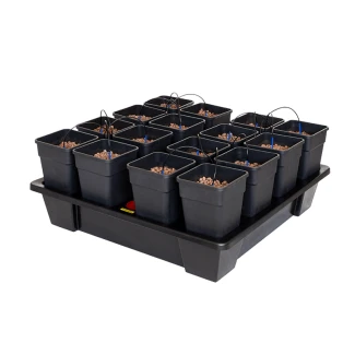 ATAMI - WILMA XXL 16 VASI DA 11L | 115x115x20h cm