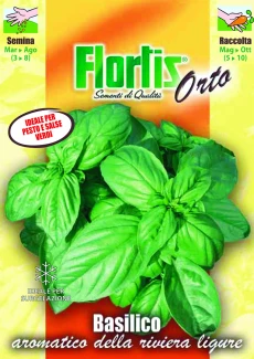 FLORTIS | BASILICO AROMATICO LIGURE
