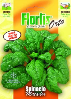 SPINACIO MATADSPINACIO MATADOROR