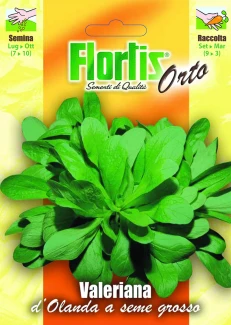 VALERIANA D'OLANDA