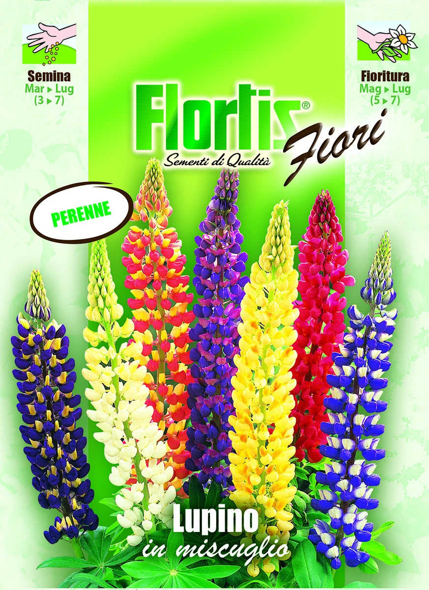 4351110 - FLORTIS | LUPINO MIX