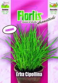 4357010 - FLORTIS | ERBA CIPOLLINA