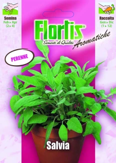 FLORTIS | SALVIA